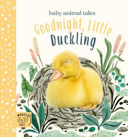 Picture of Goodnight, Little Duckling