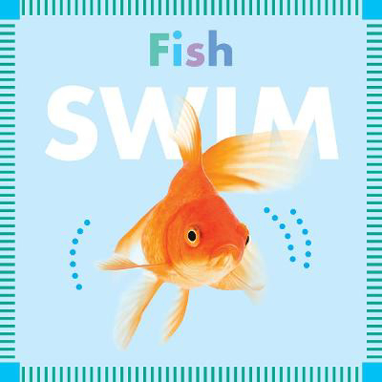 Picture of Fish Swim