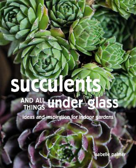 Picture of Succulents and All things Under Glass