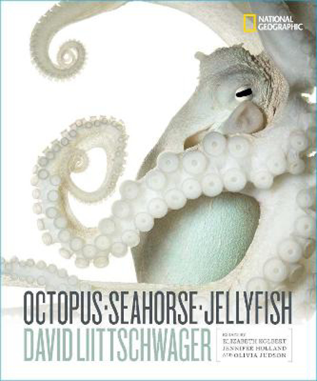 Picture of Octopus, Seahorse, Jellyfish