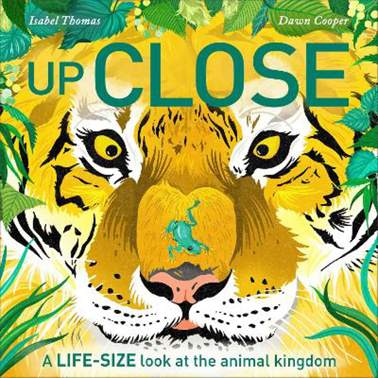 Picture of Up Close: A life-size look at the animal kingdom