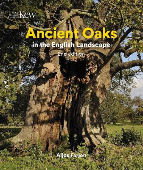 Picture of Ancient Oaks in the English Landscape