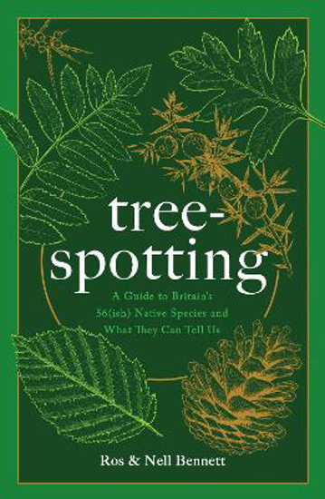 Picture of Tree-spotting: A Simple Guide to Britain's Trees