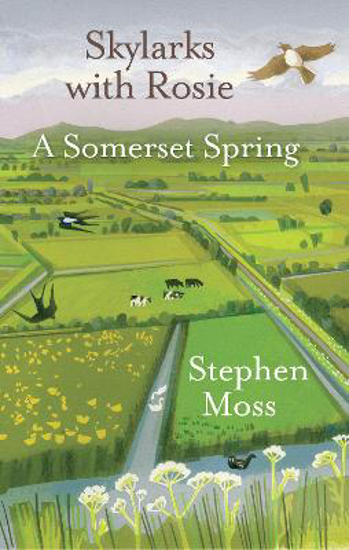 Picture of Skylarks with Rosie: A Somerset Spring