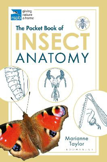 Picture of The Pocket Book of Insect Anatomy