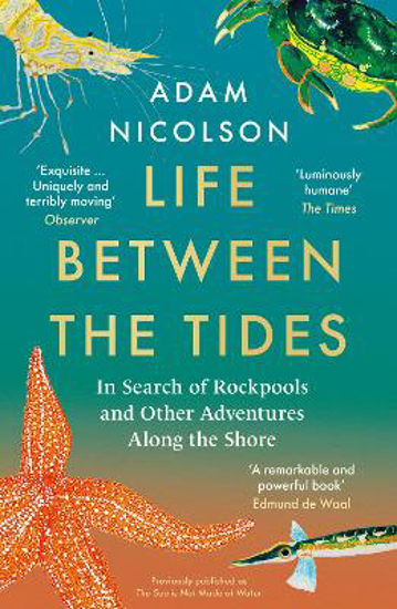 Picture of Life Between the Tides: In Search of Rockpools and Other Adventures Along the Shore