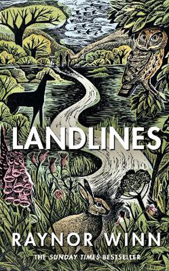 Picture of Landlines: The remarkable story of a thousand-mile journey across Britain from the million-copy bestselling author of The Salt Path