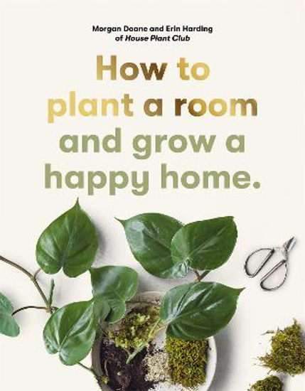 Picture of How to Plant a Room and Grow a Happy home