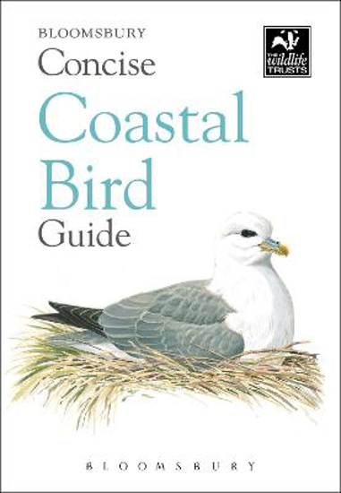 Picture of Concise Coastal Bird Guide