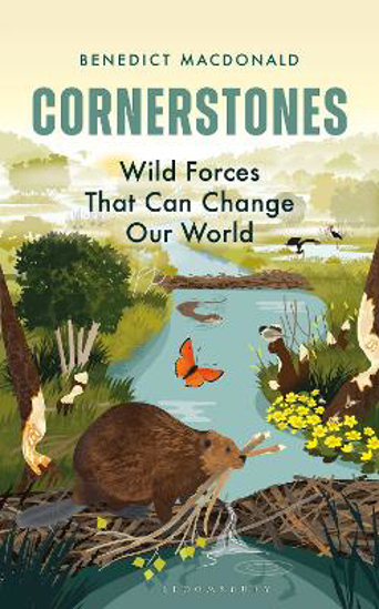 Picture of Cornerstones: Wild forces that can change our world
