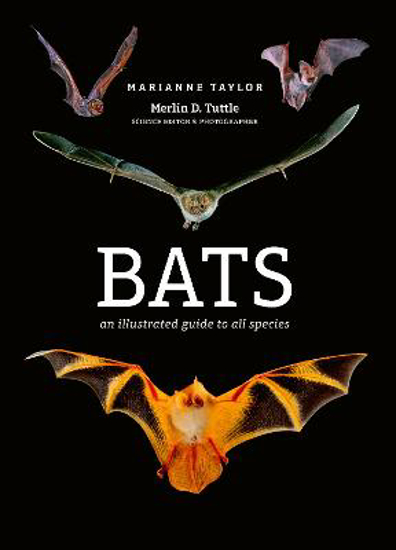Picture of Bats: An illustrated guide to all species