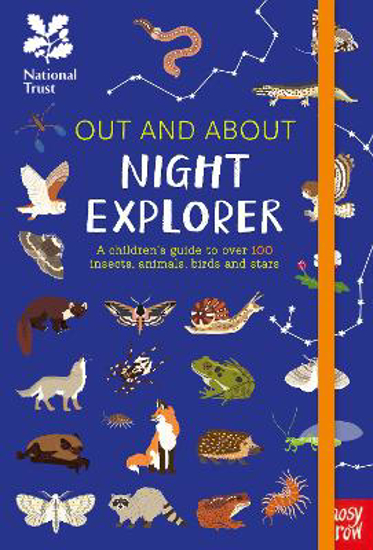 Picture of Out and About: Night Explorer