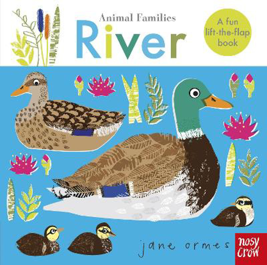 Picture of Animal Families: River