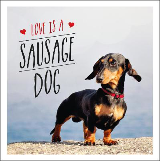 Picture of Love is a Sausage Dog