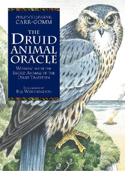 Picture of The Druid Animal Oracle