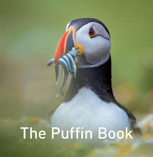 Picture of The Puffin Book
