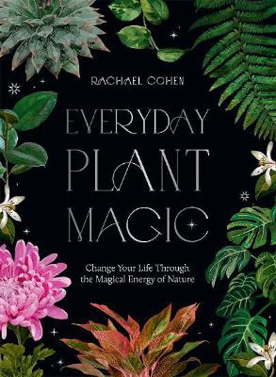 Picture of Everyday Plant Magic