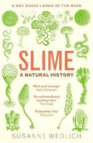 Picture of Slime: A Natural History