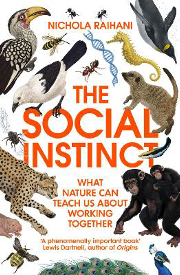 Picture of The Social Instinct: What Nature Can Teach Us About Working Together