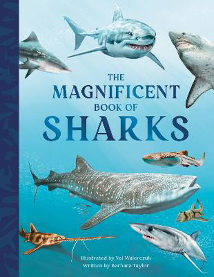 Picture of The Magnificent Book of Sharks