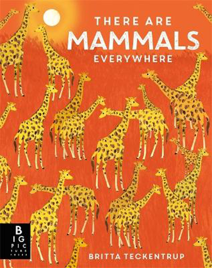 Picture of There are Mammals Everywhere