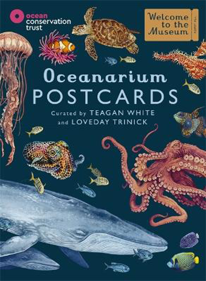 Picture of Oceanarium Postcards