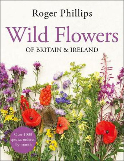 Picture of Wild Flowers: of Britain and Ireland