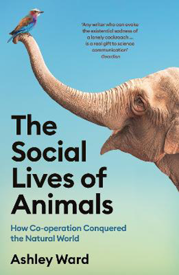 Picture of The Social Lives of Animals: How Co-operation Conquered the Natural World