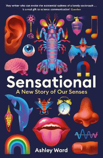 Picture of Sensational: A New Story of our Senses