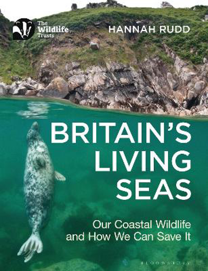 Picture of Britain's Living Seas: Our Coastal Wildlife and How We Can Save It