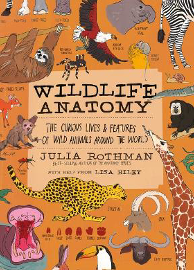 Picture of Wildlife Anatomy (rothman) Pb