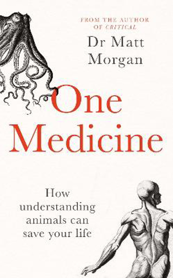 Picture of One Medicine (morgan) Hb