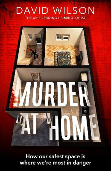 Picture of Murder At Home