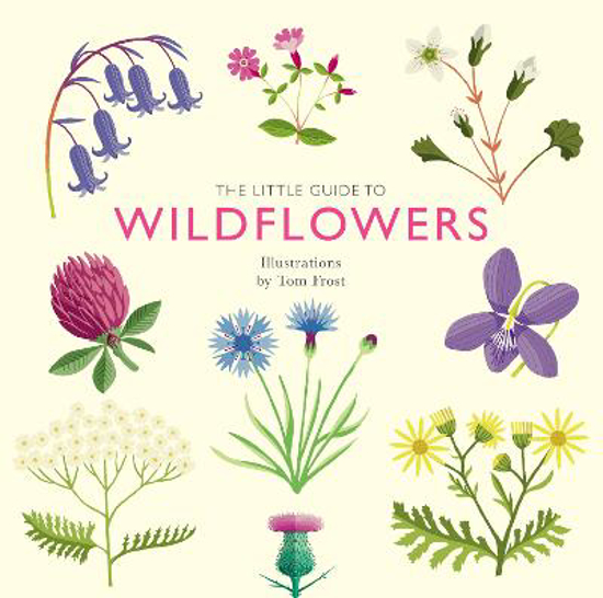 Picture of The Little Guide To Wildflowers (davies) Hb