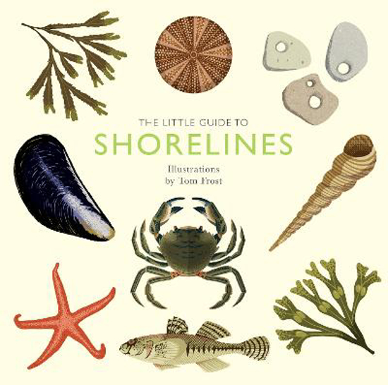 Picture of The Little Guide To Shorelines (davies) Hb