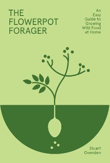 Picture of The Flowerpot Forager