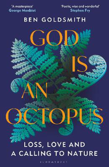 Picture of God Is An Octopus (goldsmith) Hb