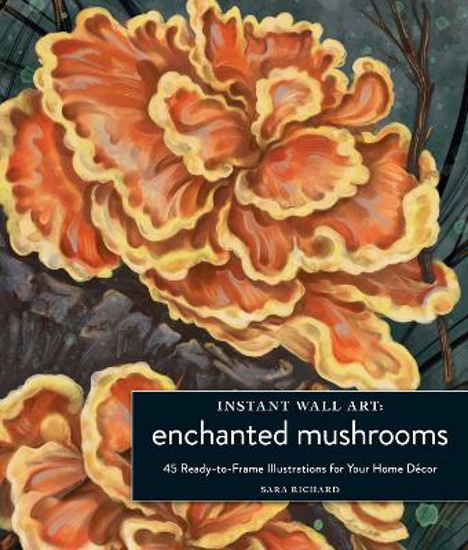 Picture of Instant Wall Art Enchanted Mushrooms (richard) Pb