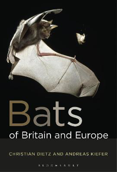 Picture of Bats of Britain and Europe