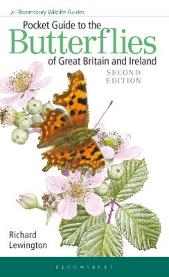 Picture of Pocket Guide to the Butterflies of Great Britain and Ireland