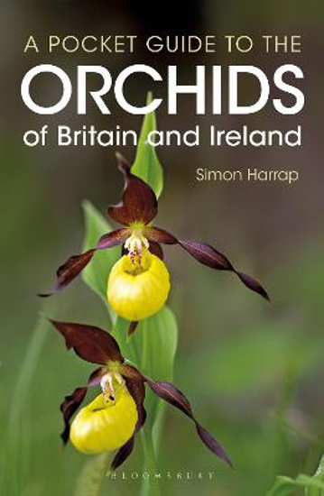 Picture of Pocket Guide to the Orchids of Britain and Ireland