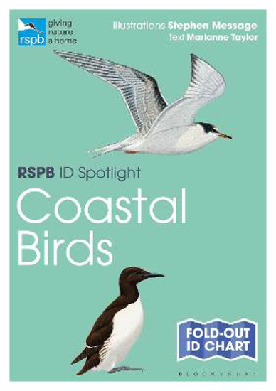 Picture of RSPB ID Spotlight: Coastal Birds
