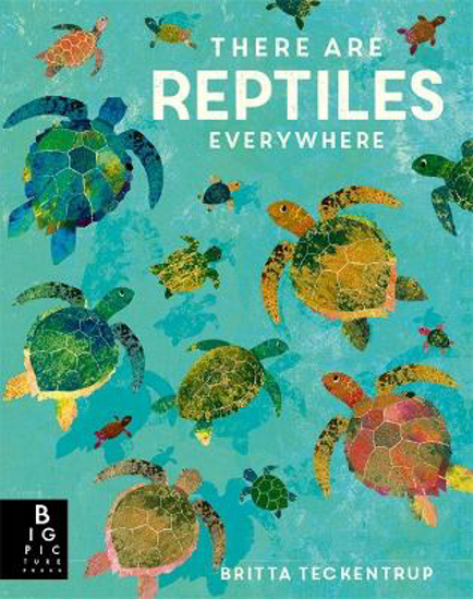 Picture of There Are Reptiles Everywhere (teckentrup) Picture