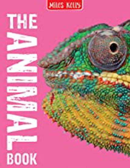 Picture of The Animal Book