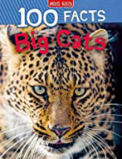 Picture of 100 Facts Big Cats