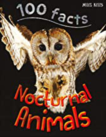 Picture of 100 Facts: Nocturnal Animals