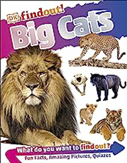 Picture of Find Out! Big Cats