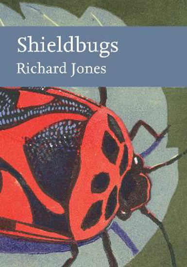 Picture of New Naturalists: Shieldbugs (jones) Hb