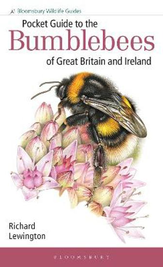 Picture of Pocket Guide to the Bumblebees of Great Britain and Ireland