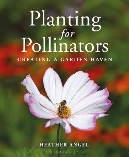 Picture of Planting For Pollinators